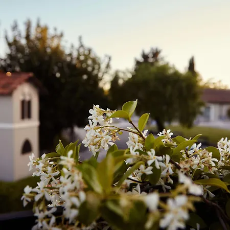 Mercure Romanazzi Carducci Отель 4*
